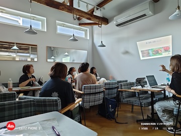 格安トリミング カットモデル犬 トリミングサンプル