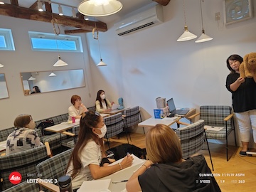 格安トリミング カットモデル犬 トリミングサンプル