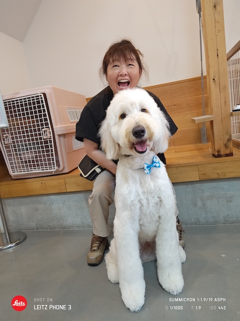 格安トリミング カットモデル犬 トリミングサンプル